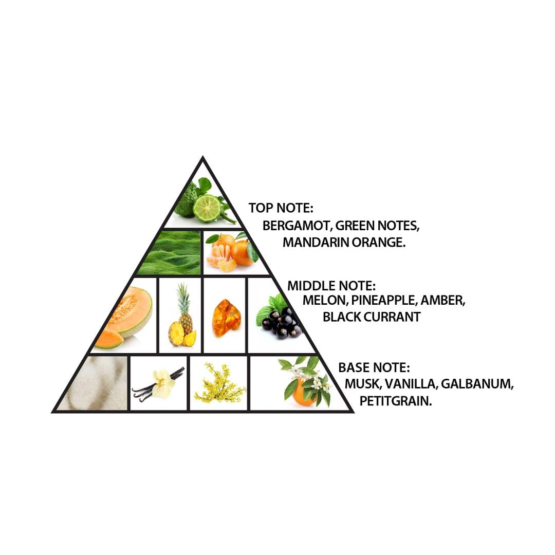 Al Haramain Amber Oud - Aqua Dubai - Cologne for Men and Women - Bergamot, Amber, Musk Fragrances - Long Lasting Perfume for Men and Women - 2.5 oz - Image 3