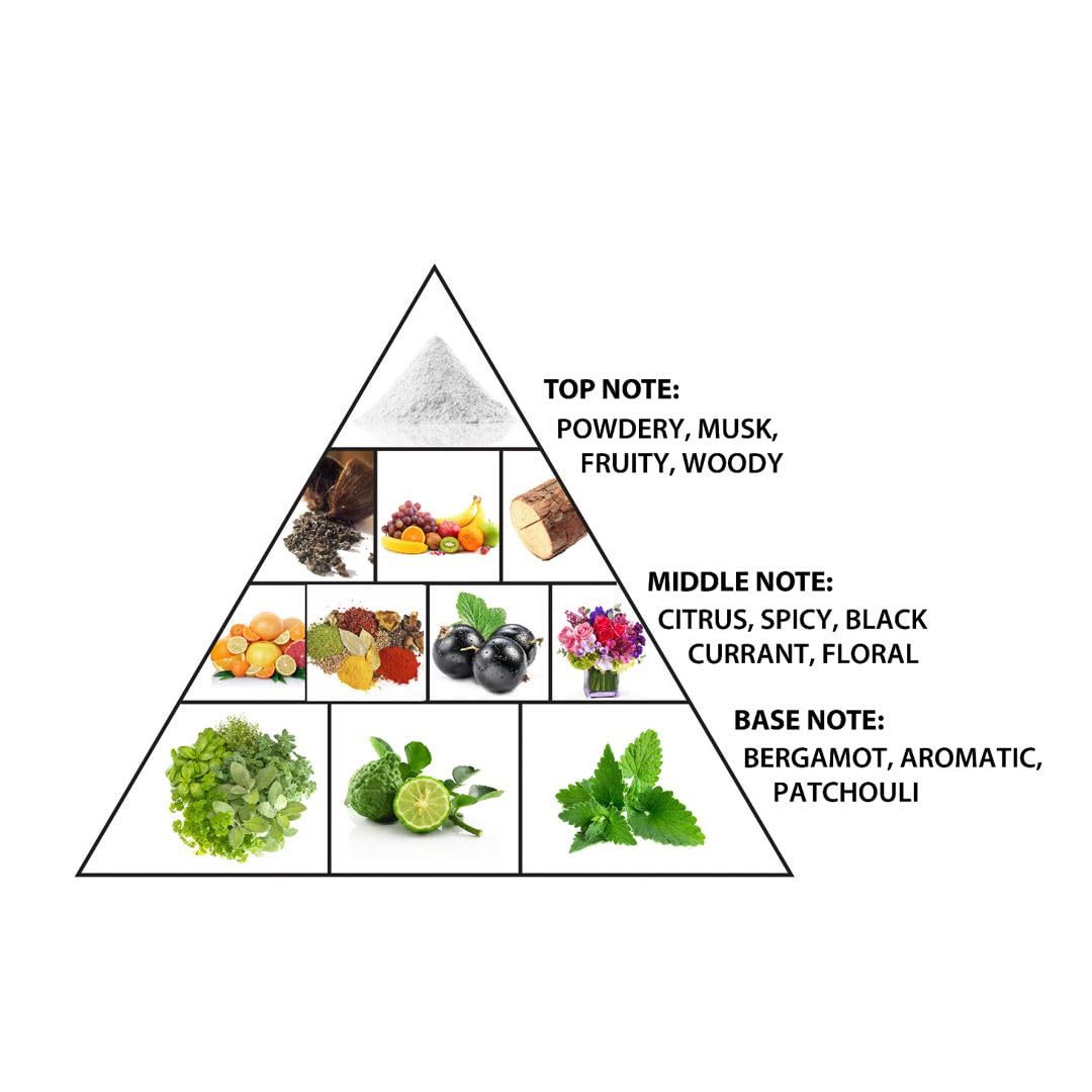 Al Haramain Emotion Antique - Perfume for Women and Cologne for Men - Long-Lasting Fragrance with Woody Notes - 3.33 oz Extrait De Parfum Spray - Image 3