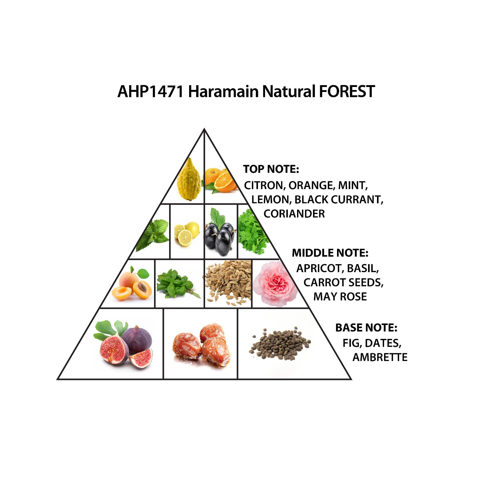 Al Haramain Natural Forest - Perfumes for Women and Cologne for Men - Unisex Cologne with Citron, Apricot, and Fig - 3.33 oz Extrait De Parfum Spray - Image 3