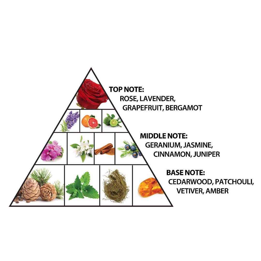 Al Haramain Vergine Rosa Noir - Perfumes for Women - Women Perfume with Rose, Bergamot, Jasmine, and Cinnamon Notes - 3.33 oz Extrait De Parfum Spray - Image 3