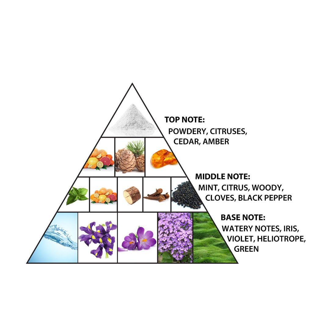 Al Haramain Vintage Silver - Perfumes for Women and Cologne for Men - Fresh Fragrance with Notes of Citrus and Mint - 3.33 oz Extrait De Parfum Spray - Image 3